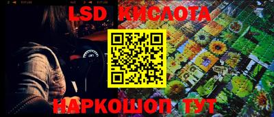 ГАЛЛЮЦИНОГЕННЫЕ ГРИБЫ Кингисепп