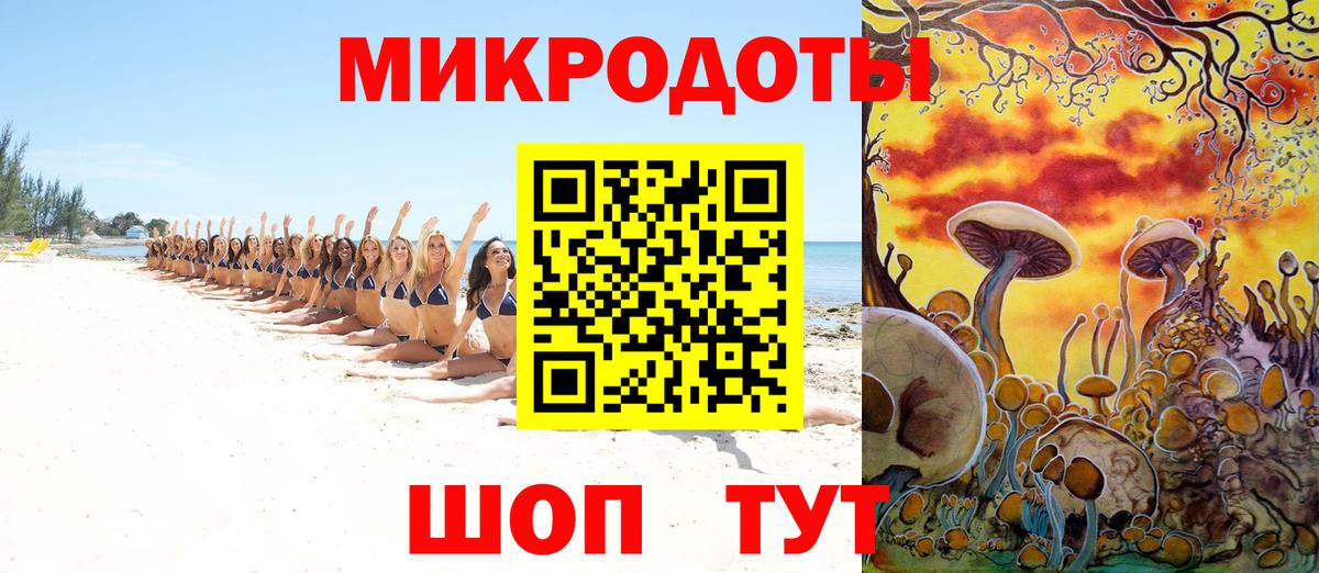 Ухта  Галлюциногенные грибы Cubensis  Вход с VPN 