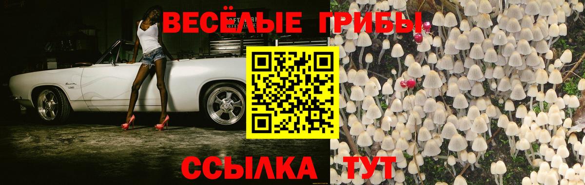 Галлюциногенные грибы прущие грибы Ухта
